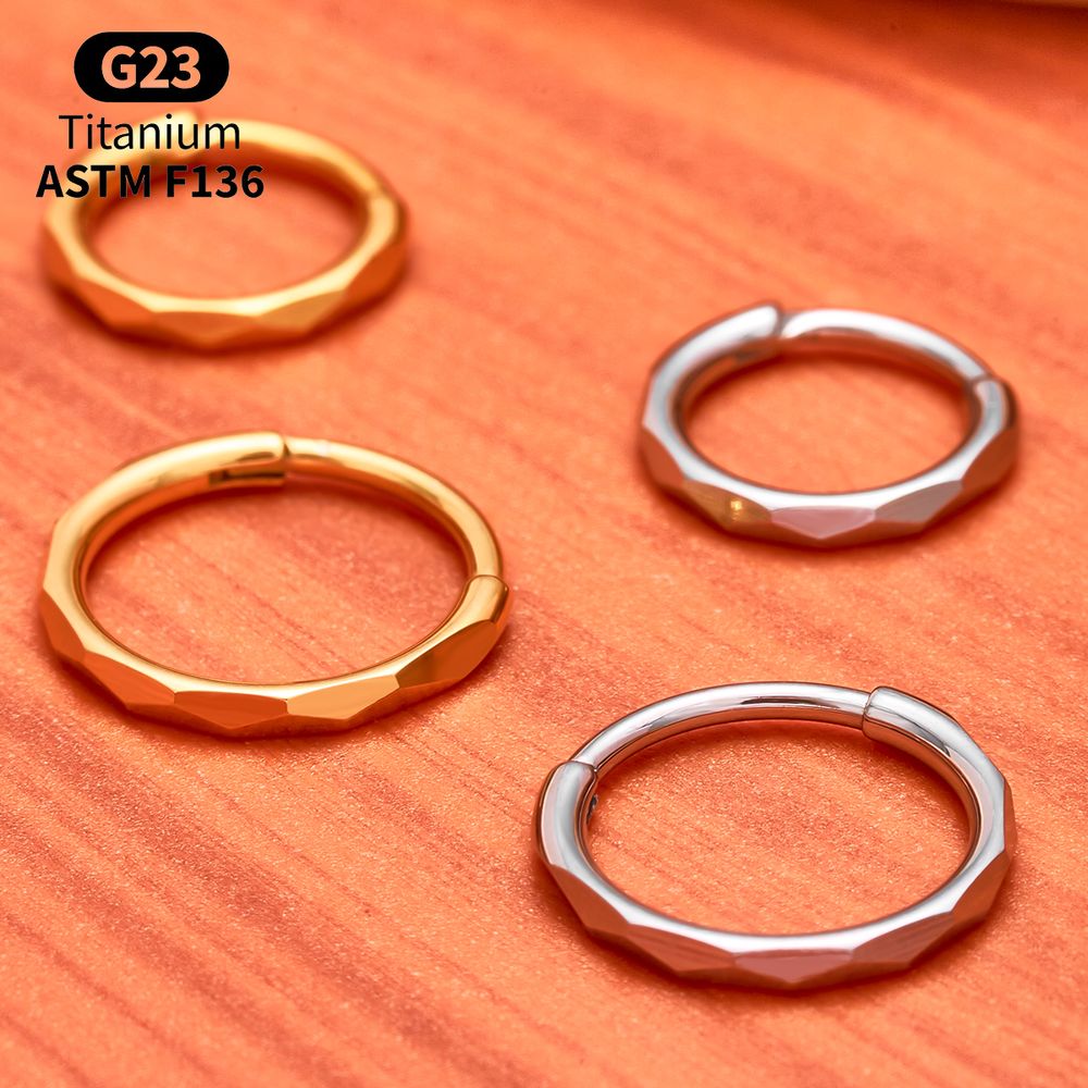 Anillo de Titanio G23 con Circ - Conch Earring Hoop reseña y precio