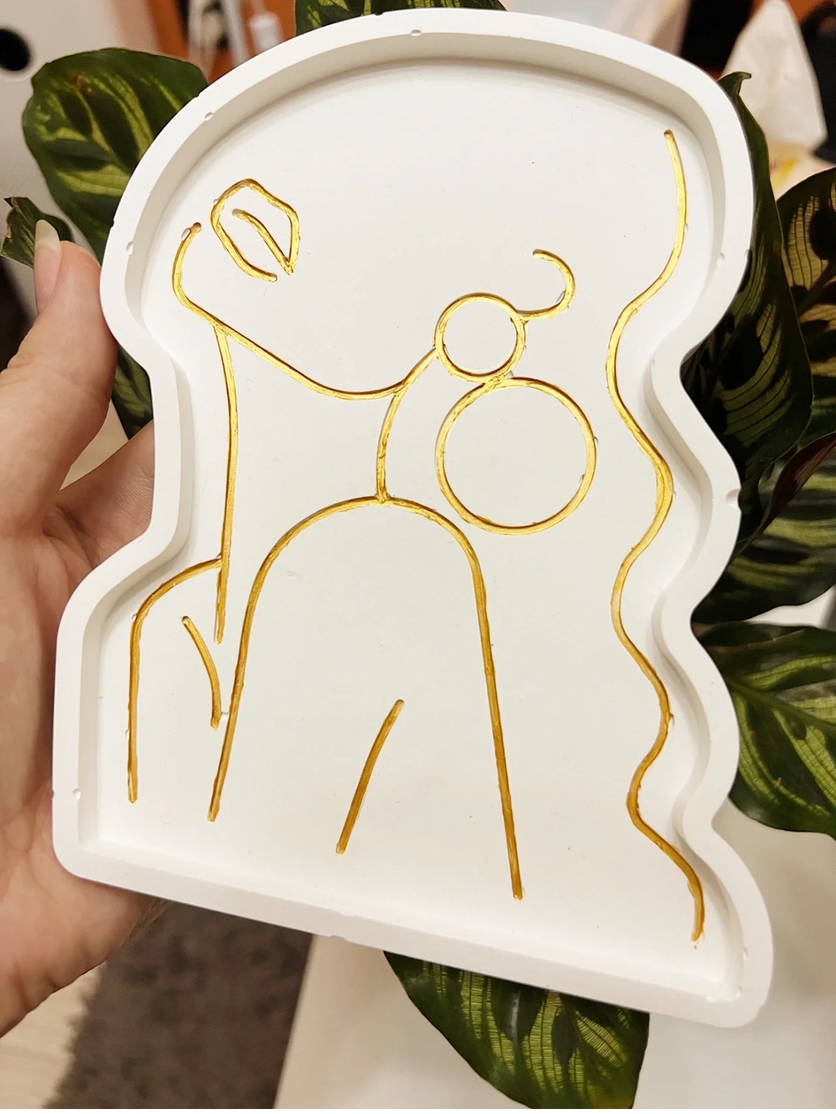 Bandeja de yeso, molde de sili - Body Jewelry Storage reseña y precio