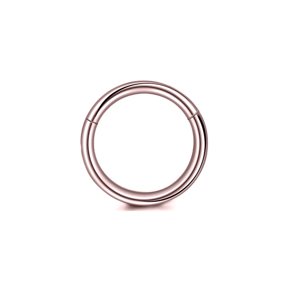 316L Acero quirúrgico Clicker  - Conch Earring Hoop reseña y precio