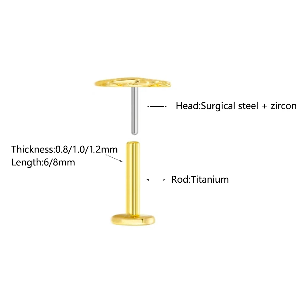 ASTM F136 G23 pendiente sin ro - Conch Earring Hoop reseña y precio