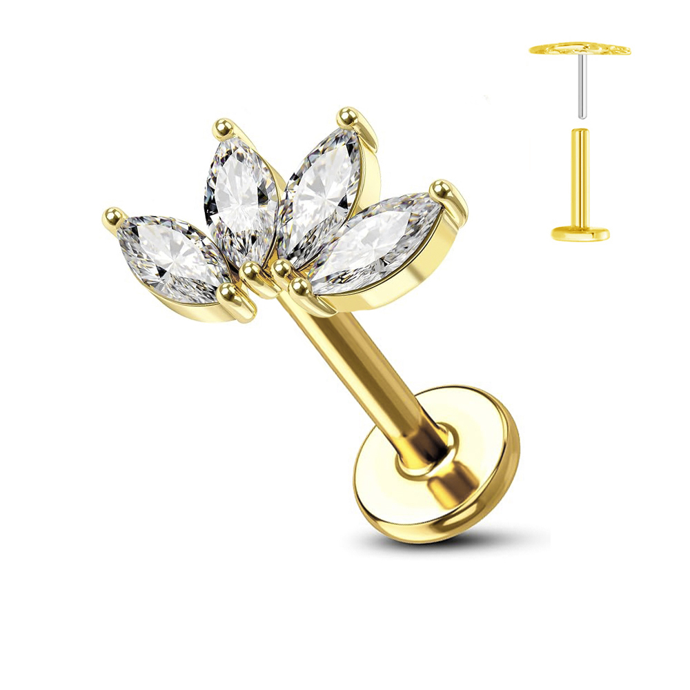 ASTM F136 G23 pendiente sin ro - Conch Earring Hoop reseña y precio