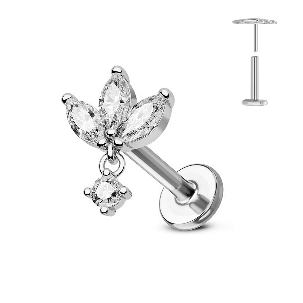 ASTM F136 G23 pendiente sin ro - Conch Earring Hoop reseña y precio